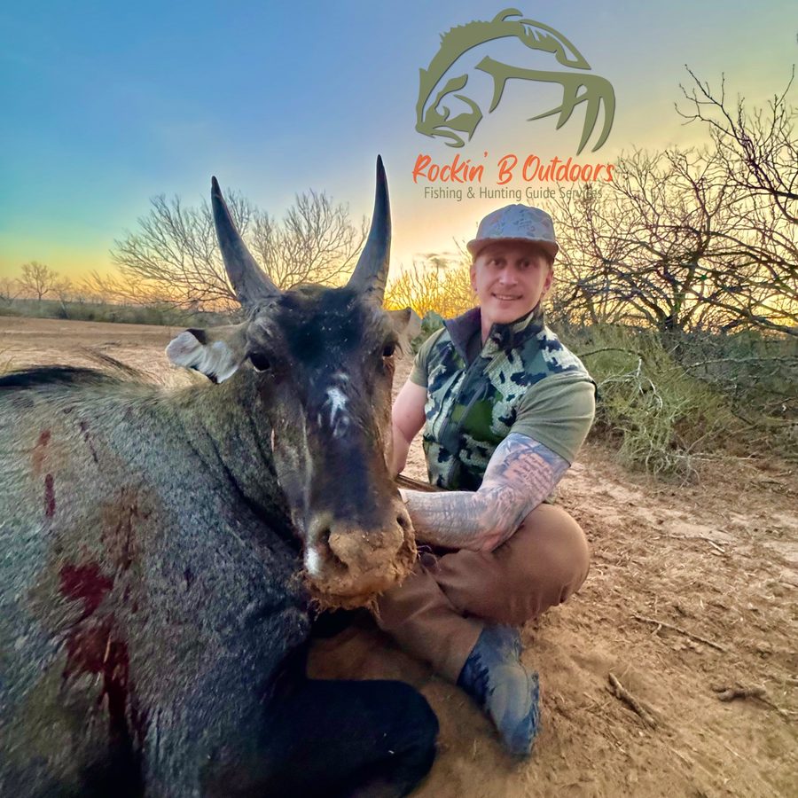 Trophy exotic taken with Rockin' B Outdoors