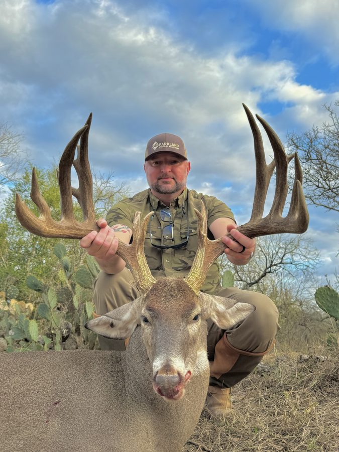 Texas whitetail buck