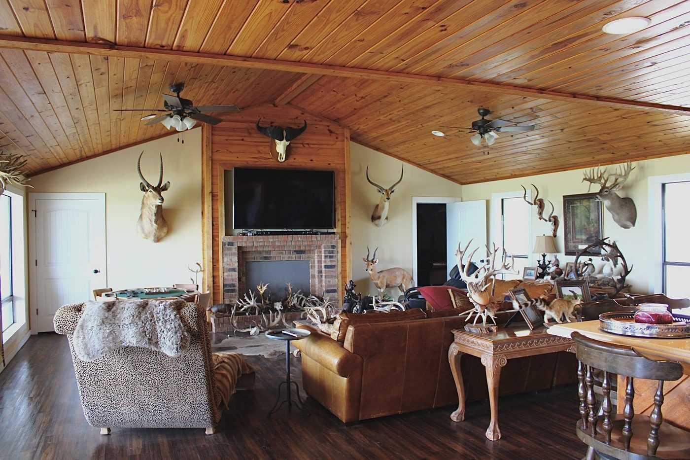 Lodge living room with trophy mounts