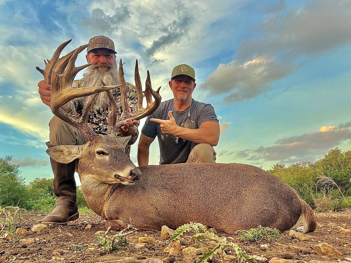 South Texas whitetail buck